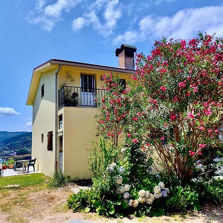 Melita Guesthouse Braga Extérieur photo